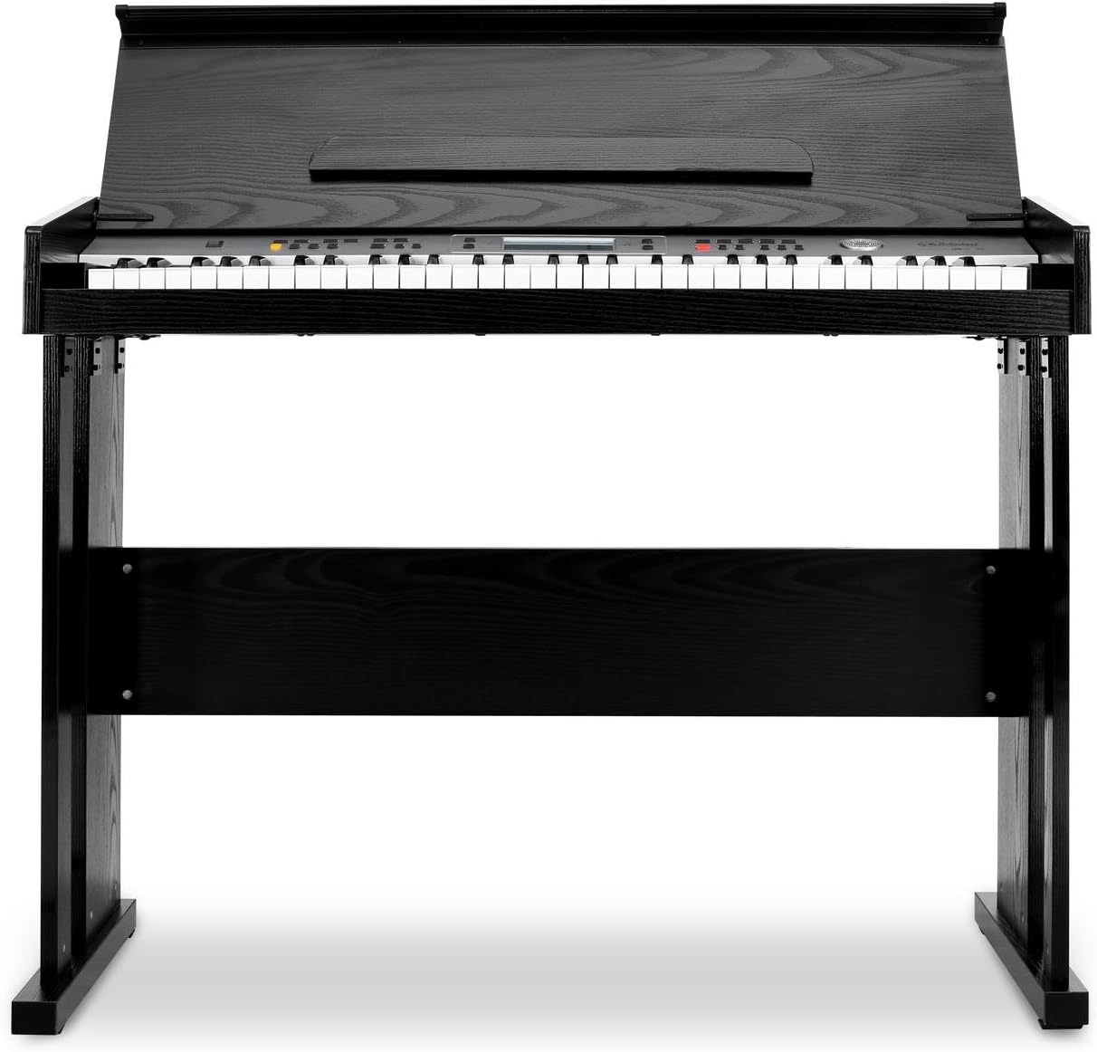 Carnegy-61 - Electric Piano, Keyboard, 61 Keys, Velocity Response, 100 Rhythms, 136 Instruments, Speakers, Recording, Learning Function, Line Out, MIDI, Dual Function, Black
