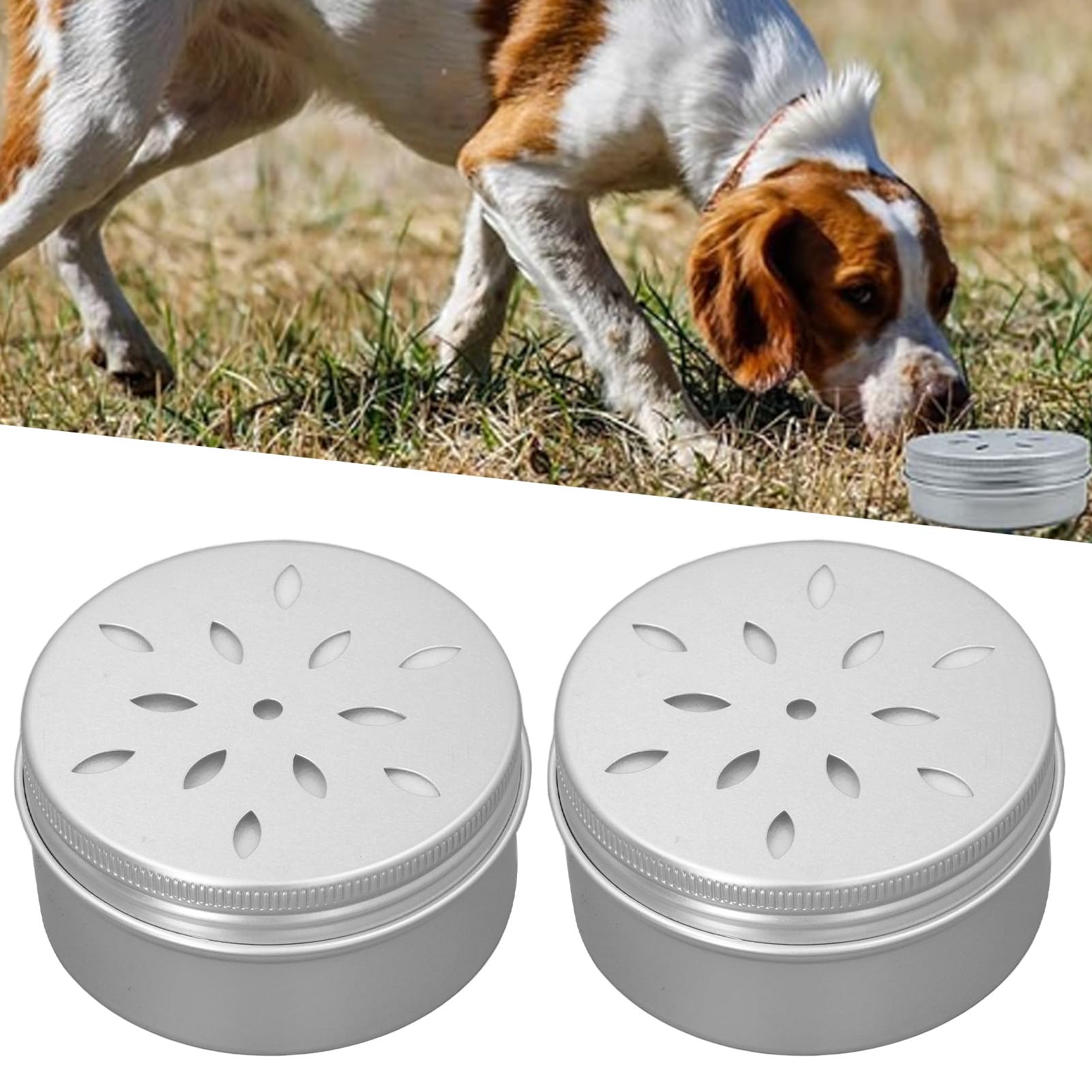 TOPINCN Kit D'entraînement de Boîte à Parfum de Chien Creux avec Autocollants Magnétiques, Récipient en Métal de Nez pour Animaux de Compagnie avec 10 Points Magnétiques, Kit