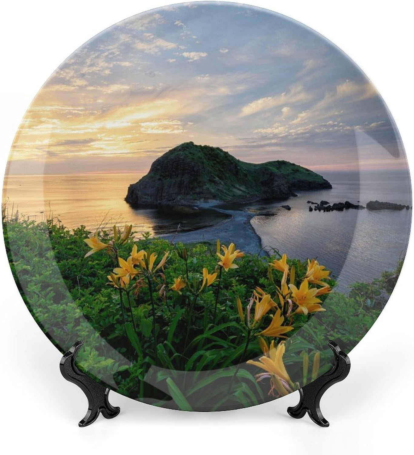 Coast Flowers Evening Licorice Decorative Plate for Wall Hanging Modern Wall Decor Art Ceramic Plate with Display Stand Round Porcelain Dinner Dessert Dish Household Plates 10"