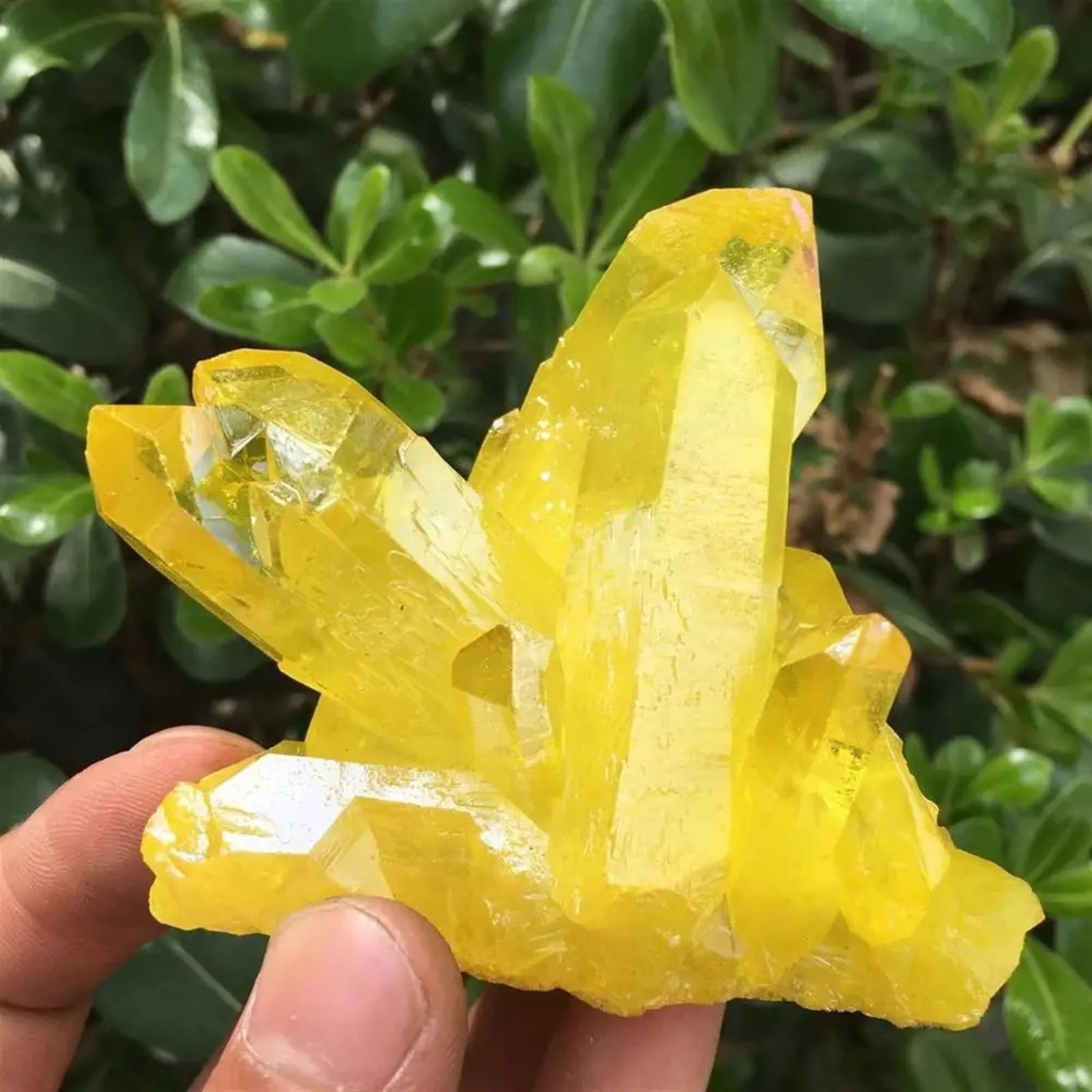 KJEBVHIRS Citrate Coated Quartz Crystal Cluster Ornaments (Size : 450-500g)