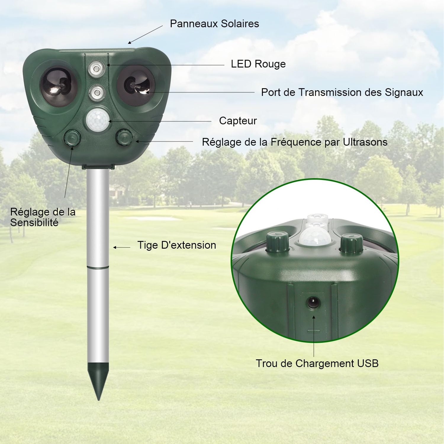 Repulsif Ultrason Chat, Repulsif Chat Exterieur Ultrason Etanche IP66, Rechargeable par énergie Solaire/USB, Empêche Les Chats, Les Chiens, Les Oiseaux, pour Le Jardin, Le Terrain...