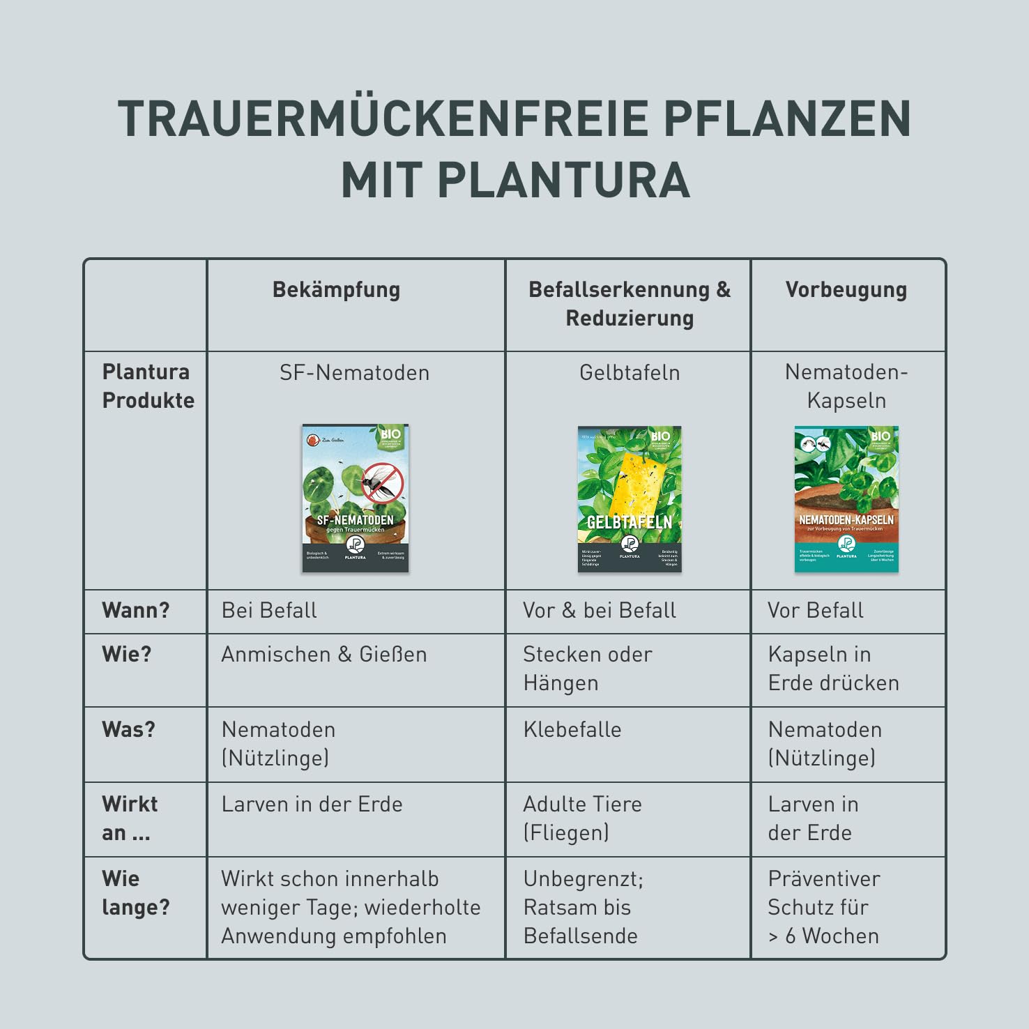 Plantura SF-Nematoden gegen Trauermücken, zum Gießen, hochwirksam & biologisch, Nützlinge aus Deutschland, 50 Mio für 50 m²/ ca. 500 Pflanzen
