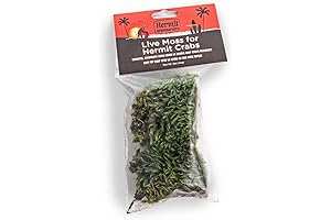 Fluker's Live Moss: Keep Your Hermit Crabs Thriving in a Natural Paradise