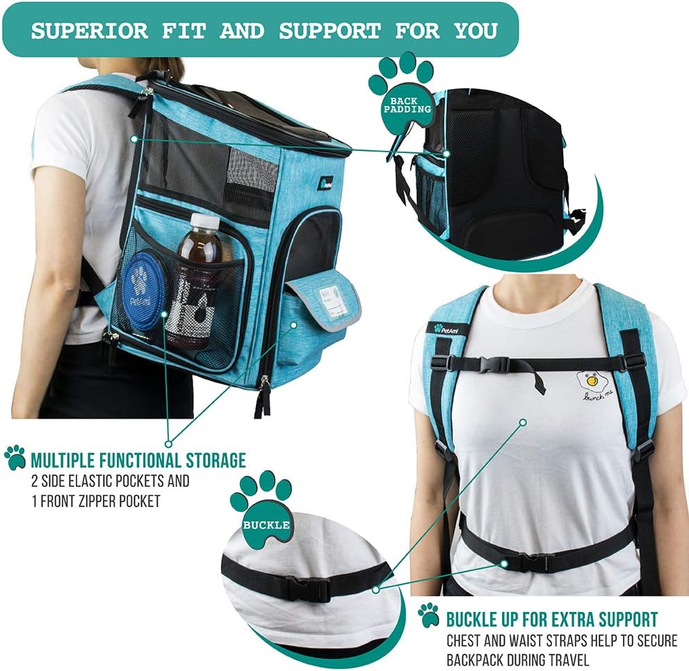 PetAmi Pet Carrier Backpack for Small Cats, Dogs, Puppies | Airline Approved | Ventilated, 4 Way Entry, Safety and Soft Cushion Back Support | Collapsible for Travel, Hiking, Outdoor (Turquoise) : Pet Supplies