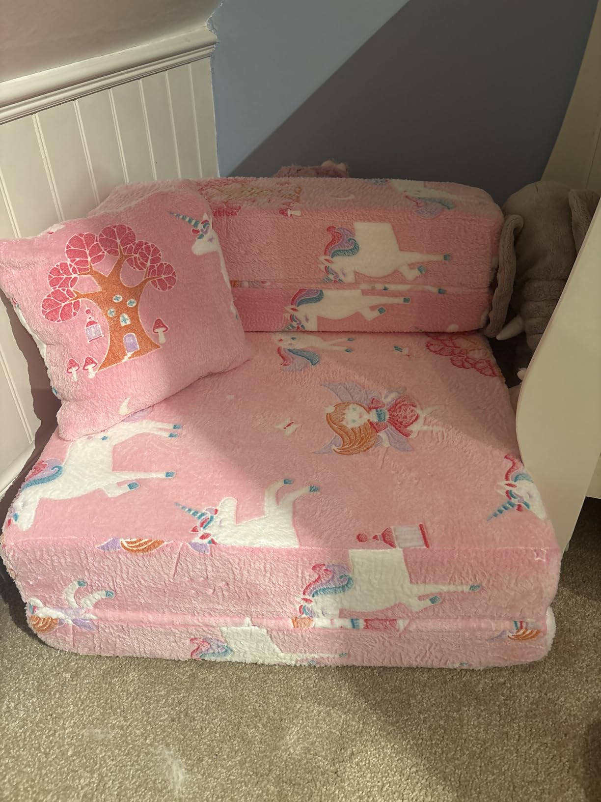 Customer photo