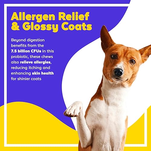 Miniatura 8 de Jack & Milo Probióticos para perros, enzimas digestivas, alergia y apoyo inmunológico, probióticos para perros, grado veterinario, 7.5 mil millones