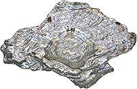 Vista 1 de Red Pomegranate Oyster - Cuenco de cristal para centro de mesa, tamaño único, perla