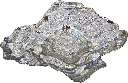 Red Pomegranate Oyster - Cuenco de cristal para centro de mesa, tamaño único, perla