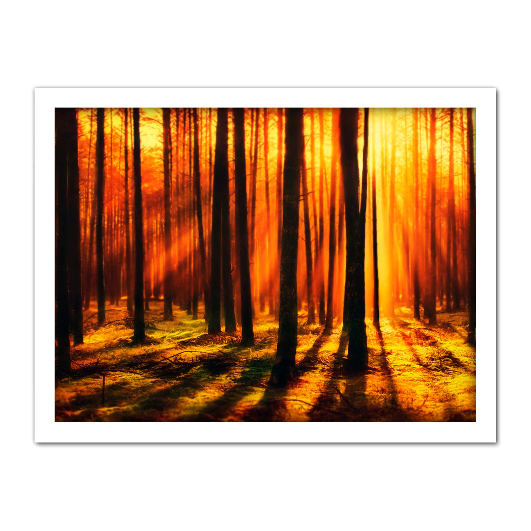 Artery8 Forest Sunset Nature Photograph Artwork Framed Wall Art Print 18X24 Inch