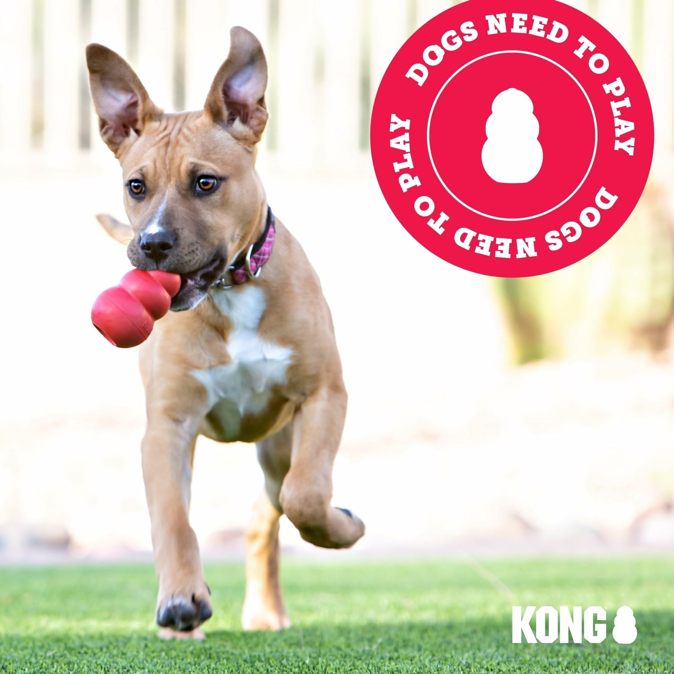 KONG Giocattolo classico per cani, giocattolo da recuperare e masticare per cani, capacità di riempimento e rimbalzo irregolare per un tempo di gioco prolungato, materiale in gomma naturale resistente