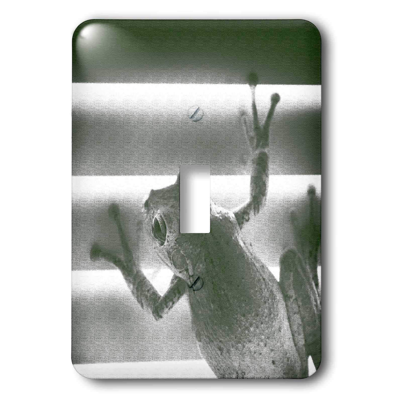 Plaque de commutateur grenouille sur stores verts pour interrupteur simple