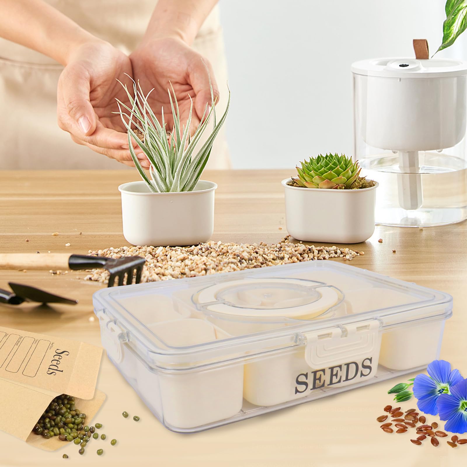 Xbopetda Saatgutbox, Saatgut-Aufbewahrungsbox mit Deckel, luftdicht, 8  herausnehmbare Trennwnde, Kunststoff-Samen-Organizer, Samenpakete Behlter  leer, Gartenaufbewahrungsbox fr Blume, Gemse, : Amazon.de: Kche,  Haushalt & Wohnen