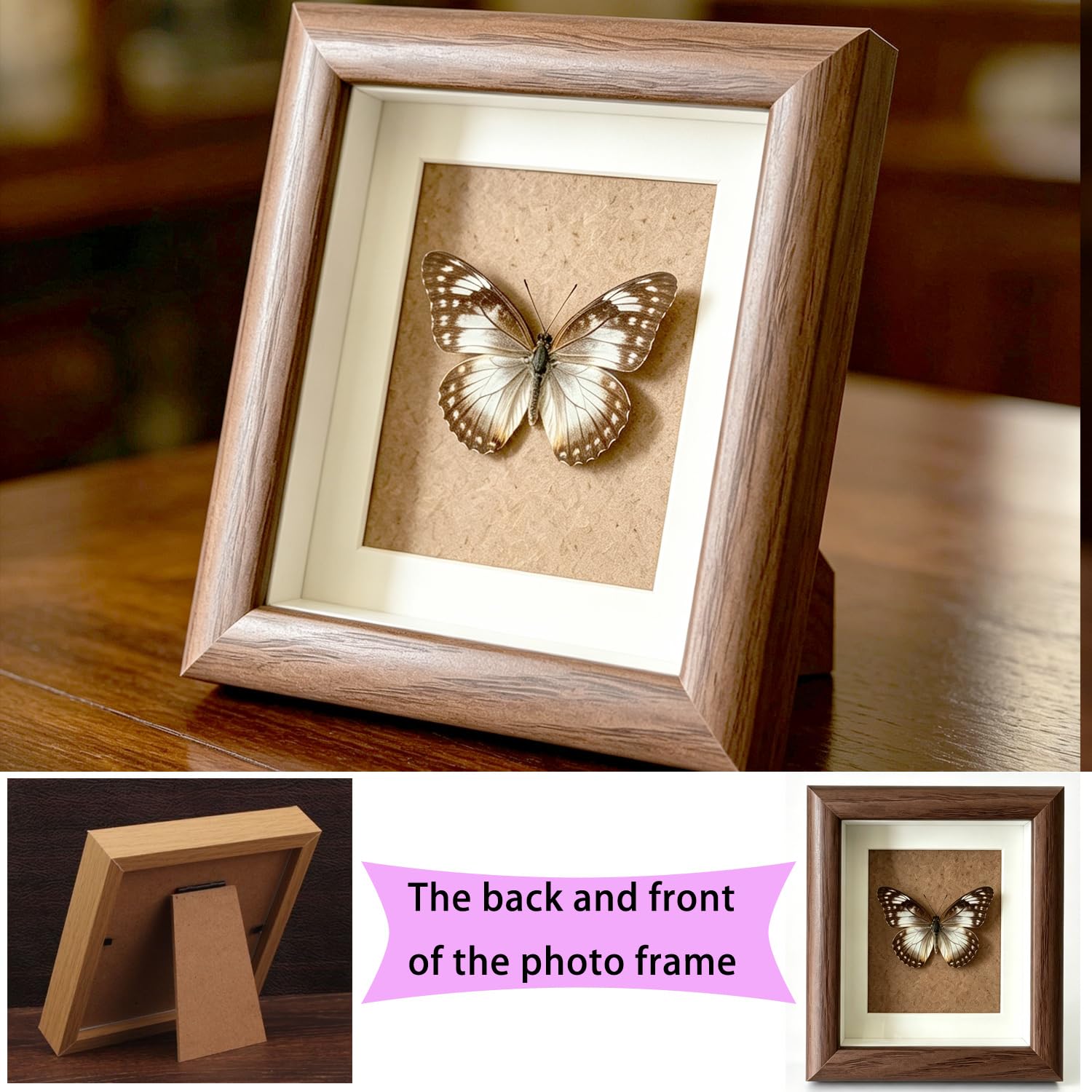 Insect Specimen Tools Kit，Complete Entomology Kit for Beginners