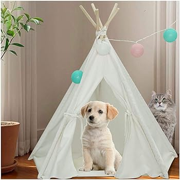 best dog teepee