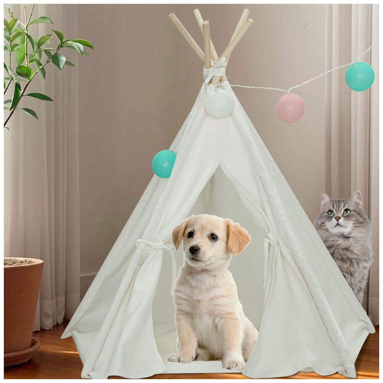 amazon pet tent