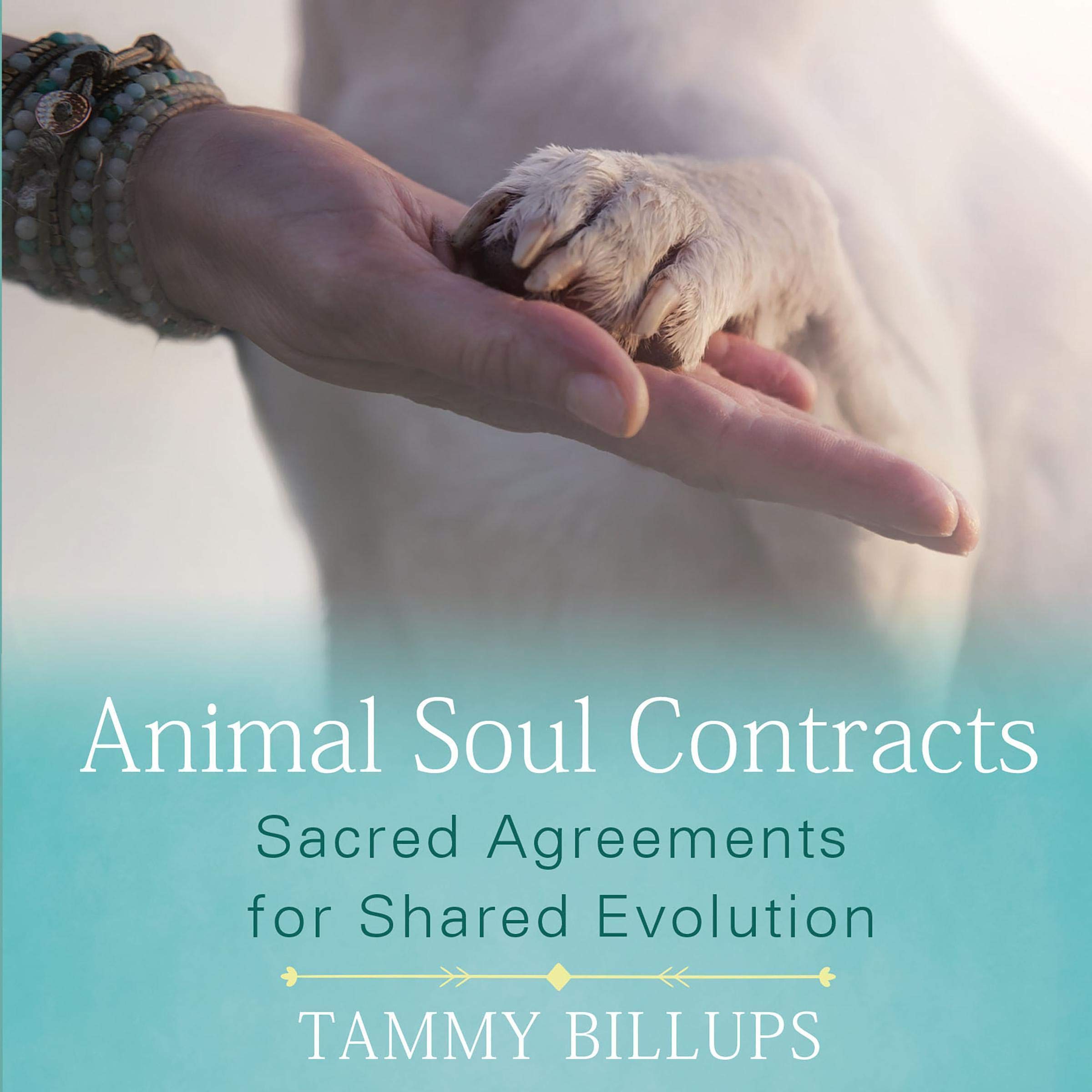 Cover art for Animal Soul Contracts