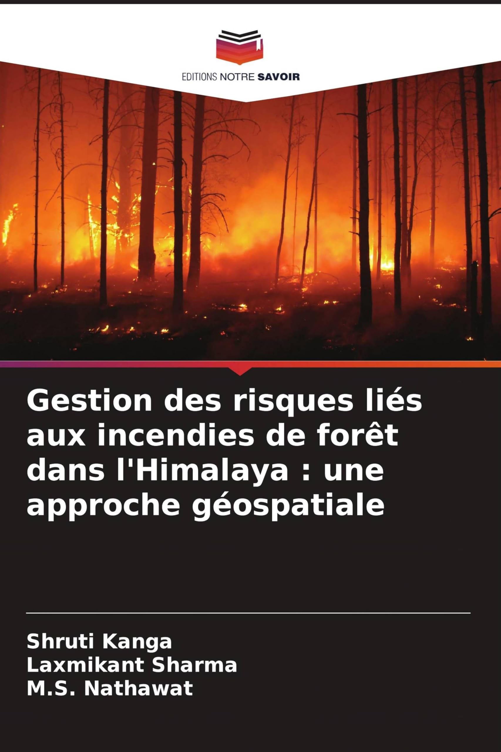 Gestion des risques liés aux incendies de forêt dans l'Himalaya: une approche géospatiale