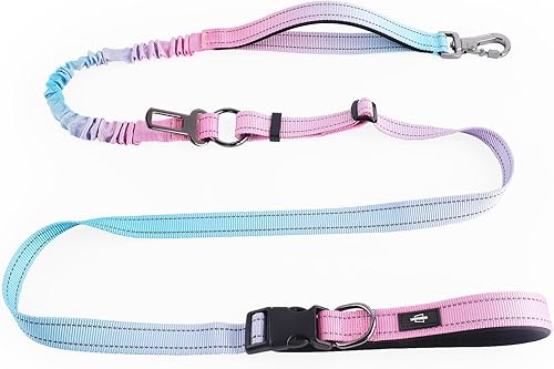 Correa elástica para perro de alta resistencia manos libres, correa de cintura para correr sin tirones para caminar, entrenar con cinturón de