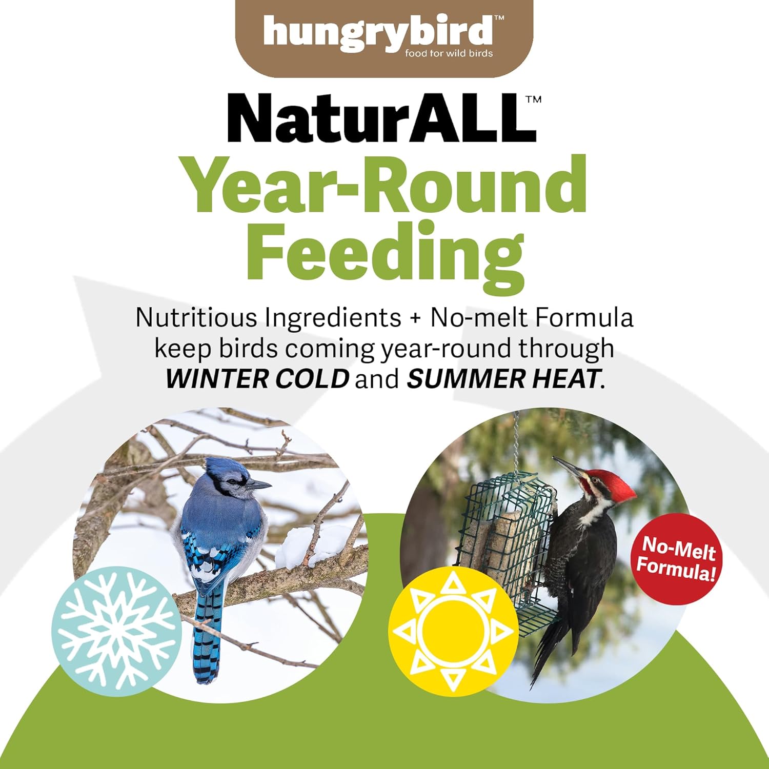 NaturAll Non-GMO, High-Protein Peanut Butter Suet Cake for Outside Wild Bird Feeders, Pack of 12