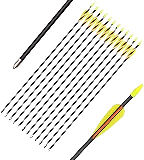 26/28/30'' Fiberglass Arrows Archery Target Arrow Hunting Shooting Practice Target for Professional Youth Archery Recurve Bow Shooter(Pack of 12)
