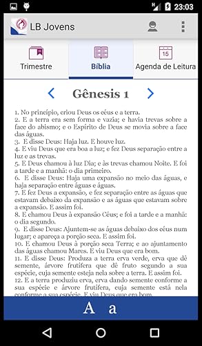Lições Bíblicas Jovens - Mestre