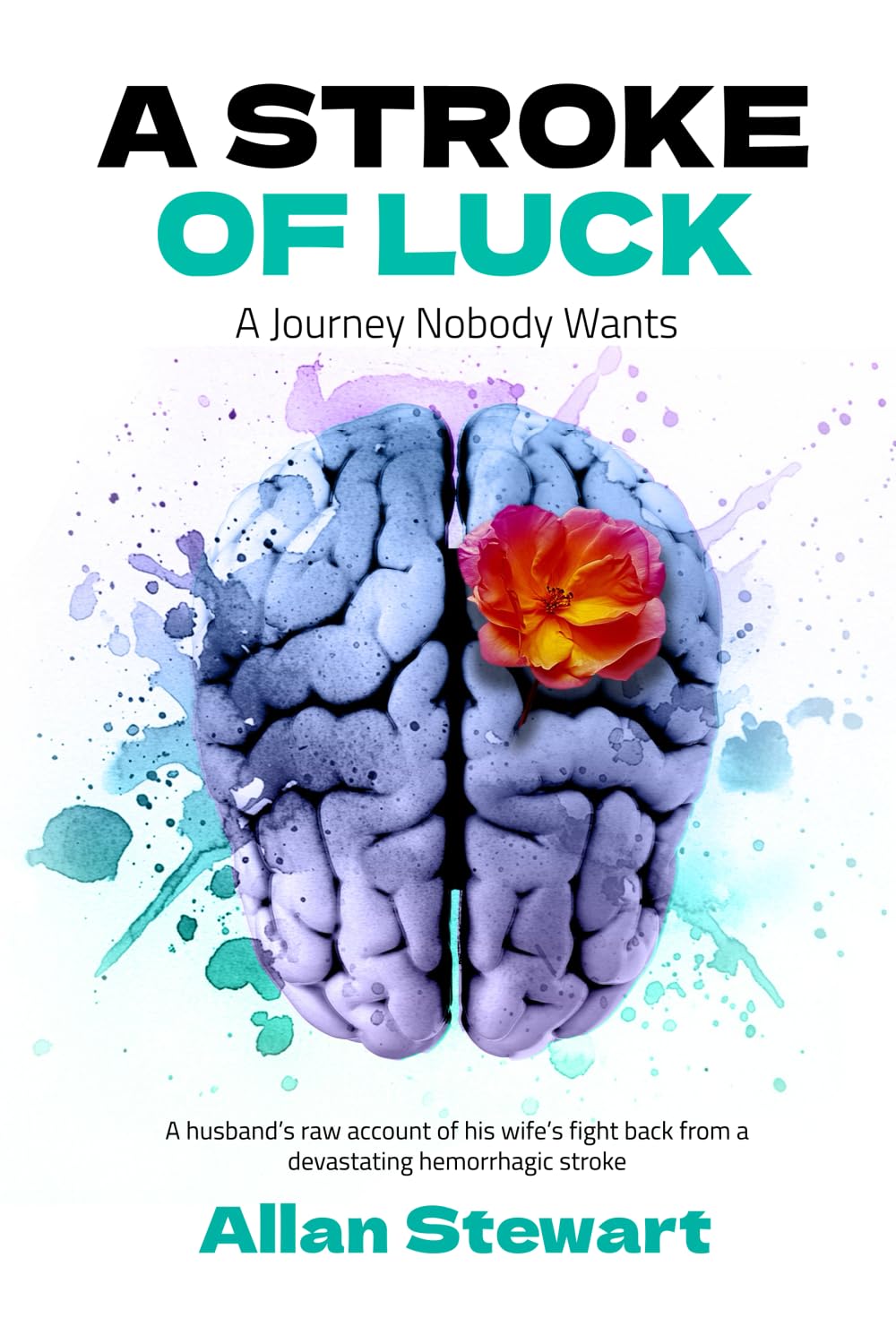 A Stroke Of Luck - A Journey Nobody Wants: A husband's raw account of his wife's fight back from a devastating hemorrhagic stroke