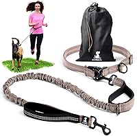 Vista 17 de SparklyPets Correa Doble Elástica de Cintura para 2 Perros con Soporte Trasero – Correa Doble para Perros para Razas Medianas/Grandes – Riñonera Azul