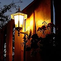 Vista 7 de Luces de paisaje - Bombillas Malibu T5 de bajo voltaje, 11 W, 12 V, base de cuña, paquete de 10