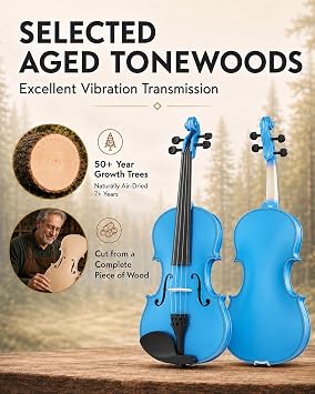Violin 4/4 Full Size Kit, Beginner Violin for Adults, Students,Complete Full Size Violin with Portable Case, Bow, Rosin, Dark Blue Finish