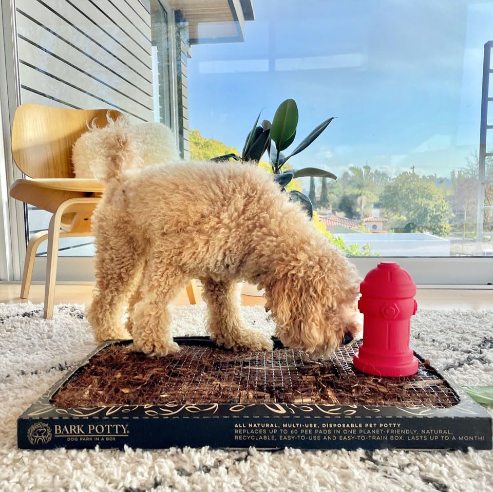 Bark Potty Silicone Fire Hydrant for Male Dogs - Potty Training Aid with Scent Marking - 10.2x17.8cm Petite Red - Image 4