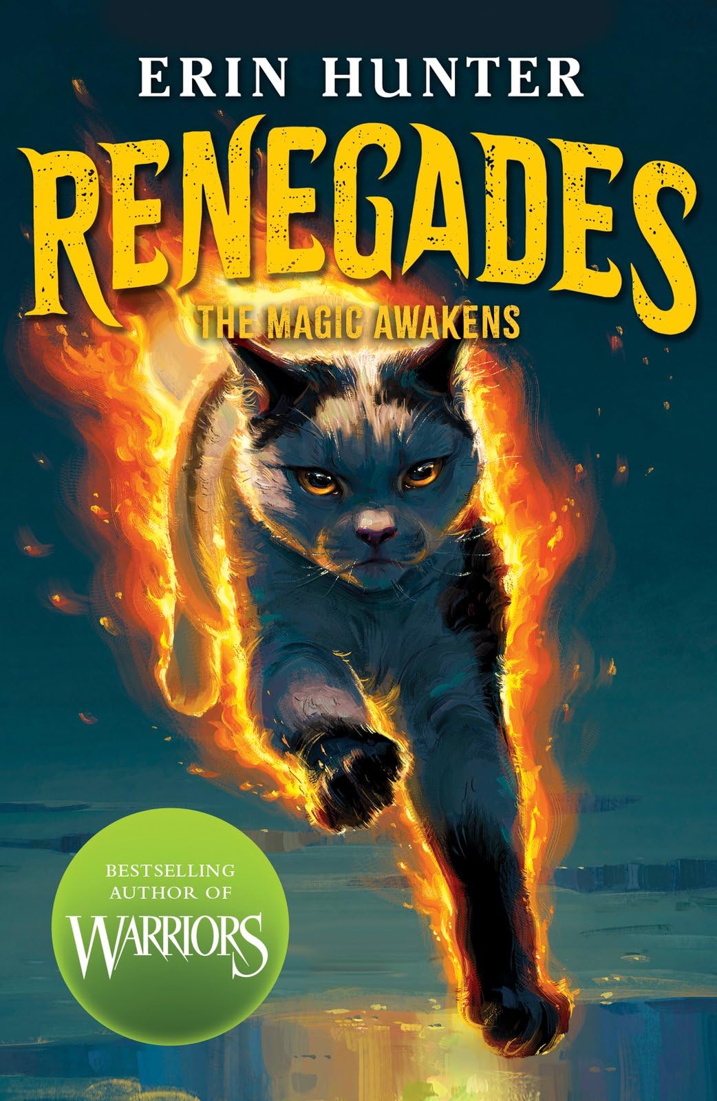 Renegades: The Magic Awakens by Erin Hunter (Paperback Book)