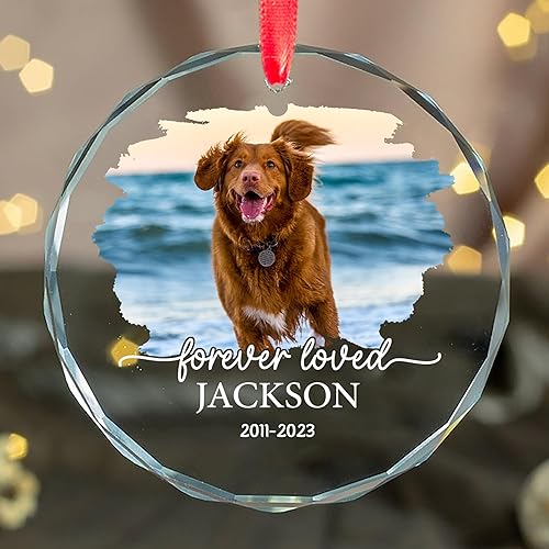 Adorno de cristal conmemorativo personalizado para mascotas, regalo de pérdida de mascotas, recuerdo de perro, foto personalizada de mascota, regalo