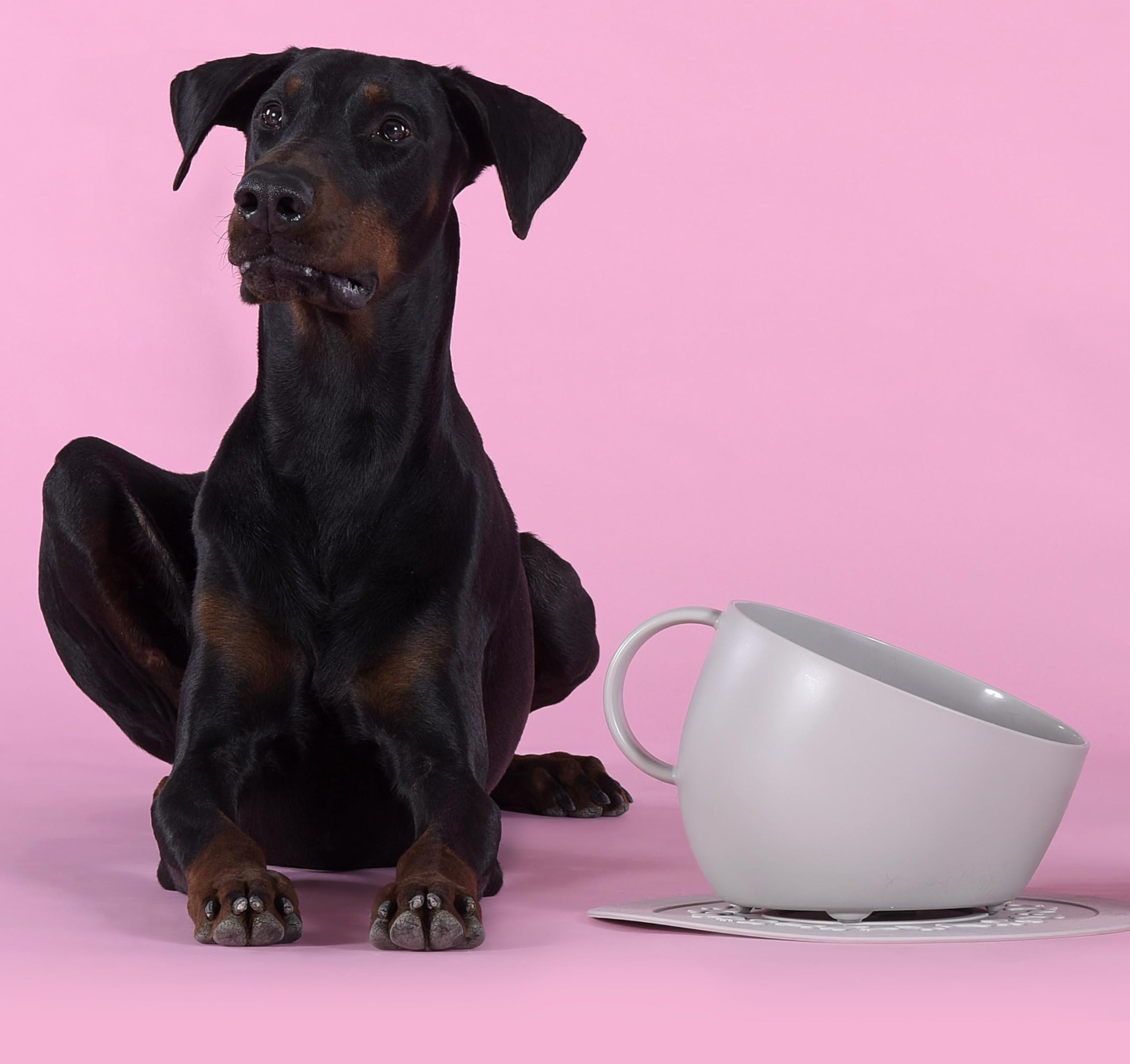 Italian imported united pets shatterproof pet bowl: is it really indestructible