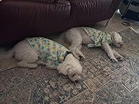 Review Image by Dalila Dalila