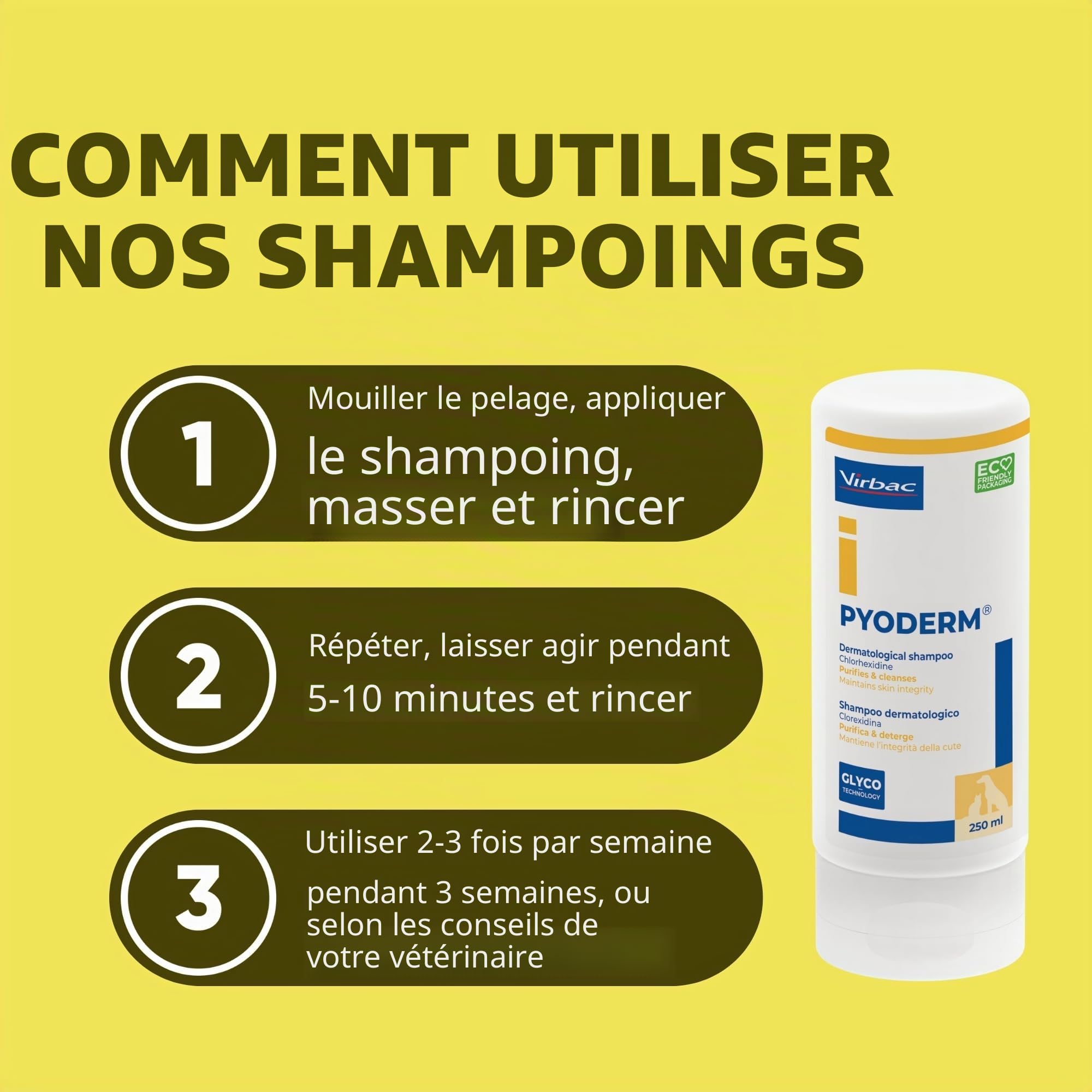 SHAMPOING PYODERM GLYCOTEC Chien & Chat 250 ML