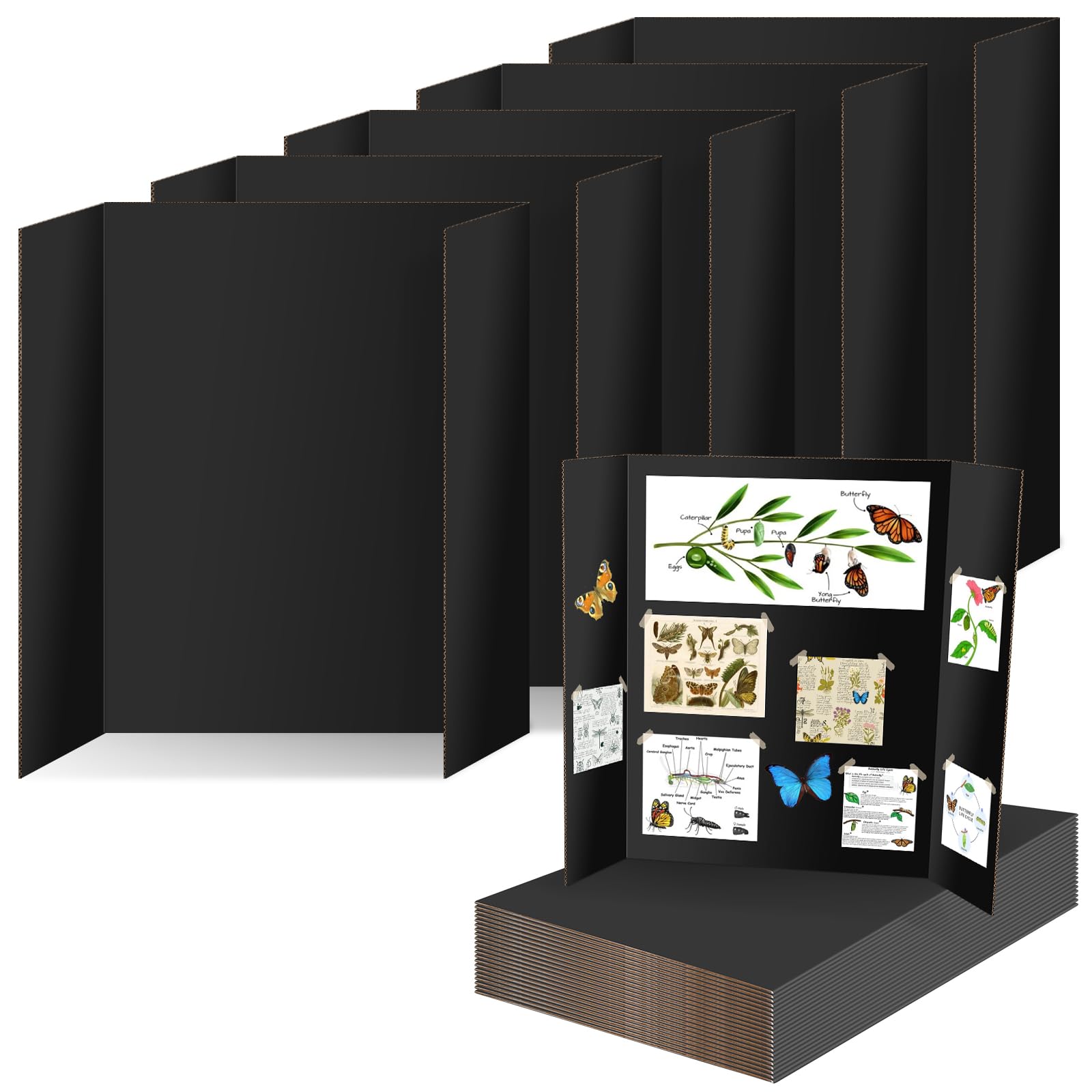 IKAYAS Dreifach gefaltete Postertafel, 61 x 40,6 cm, doppelseitige Postertafeln, Wissenschaftsmesse, Posterwand, Schaumstoffplatte für Montage, Drucke, Kunst, Ausstellungen, Projekte,