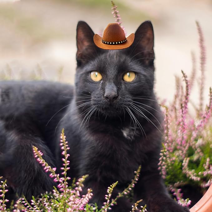 Sombrero de Vaquero con Pañuelo para Perro y Gato - Disfraz Mini para Halloween, Fiestas (Marrón, Pequeño) miniatura 6