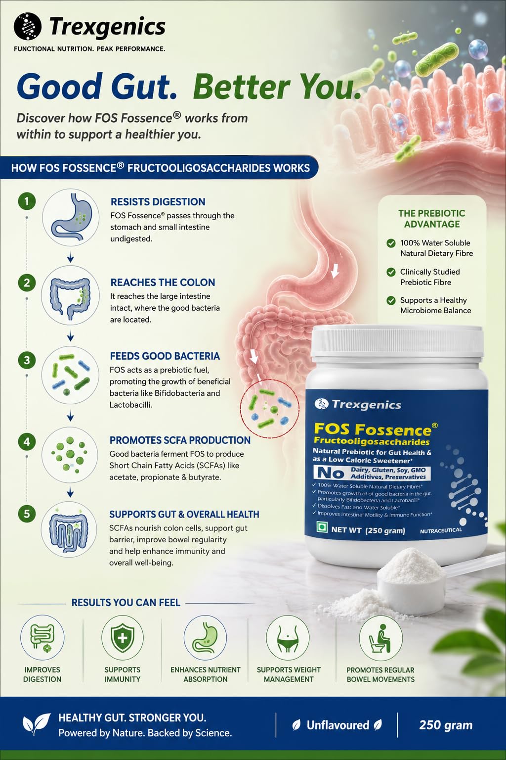 Trexgenics FOS FOSSENCE FRUCTOOLIGOSACCHARIDES PURE POWDER Prebiotic Soluble Fibres for Gut Health, Low Calorie Natural Sweetener (Fossence FOS (250 gram)) — Amazon image 4