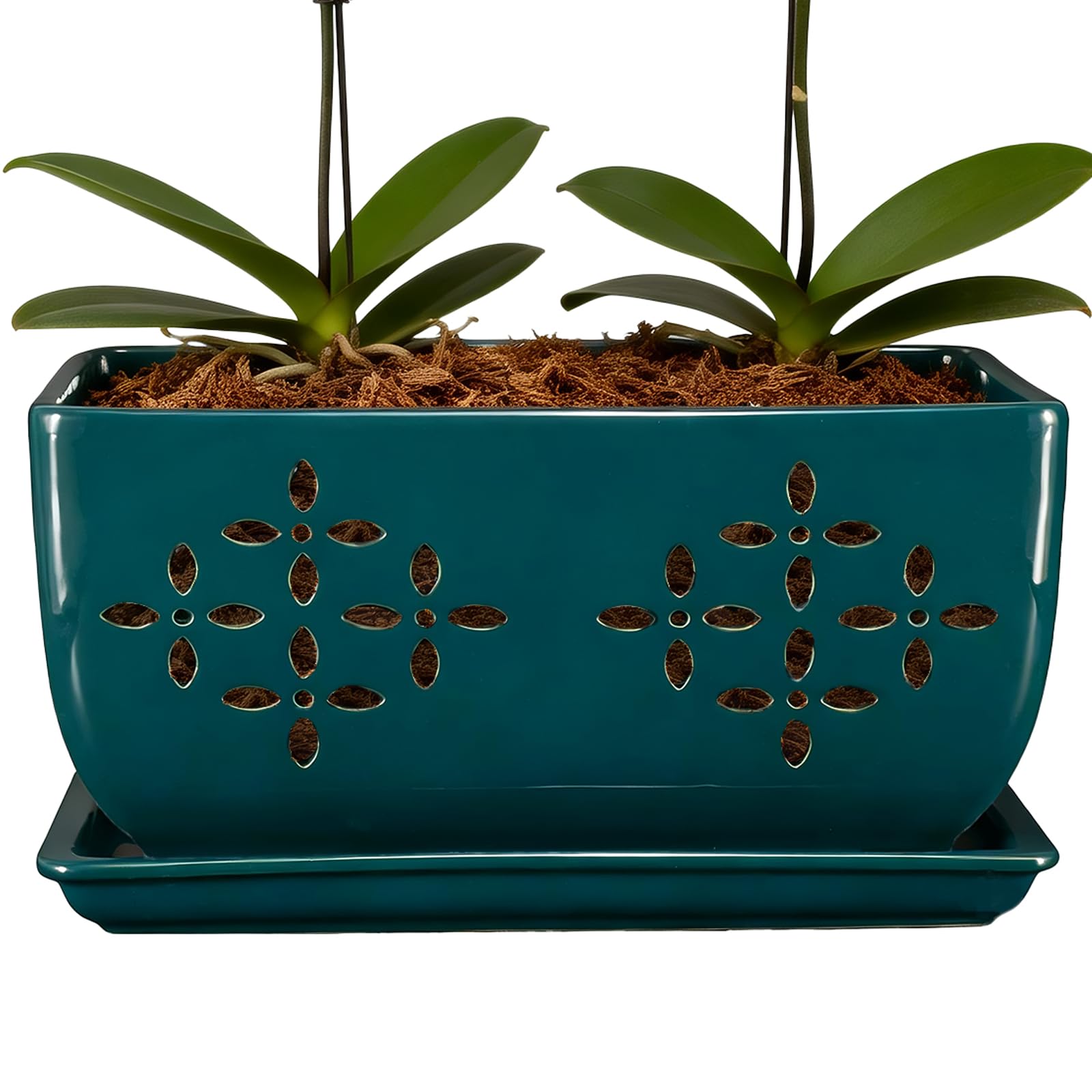 Pot à orchidée avec trous de drainage et plateau intégré