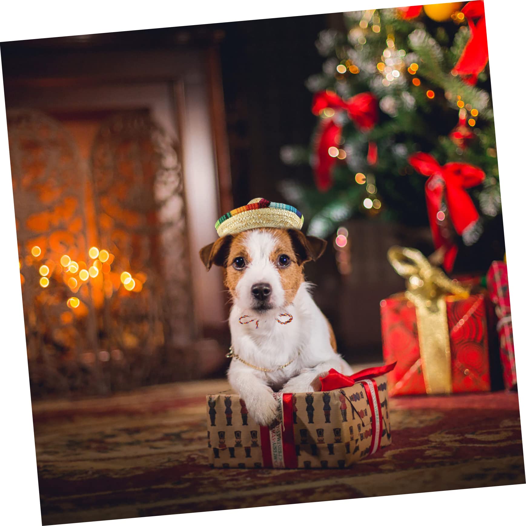 BESTonZON 10piezas Sombrero Mexicano para Mascota Mini Sombreros De Fiesta para Perros y Gatos para Exteriores o Eventos