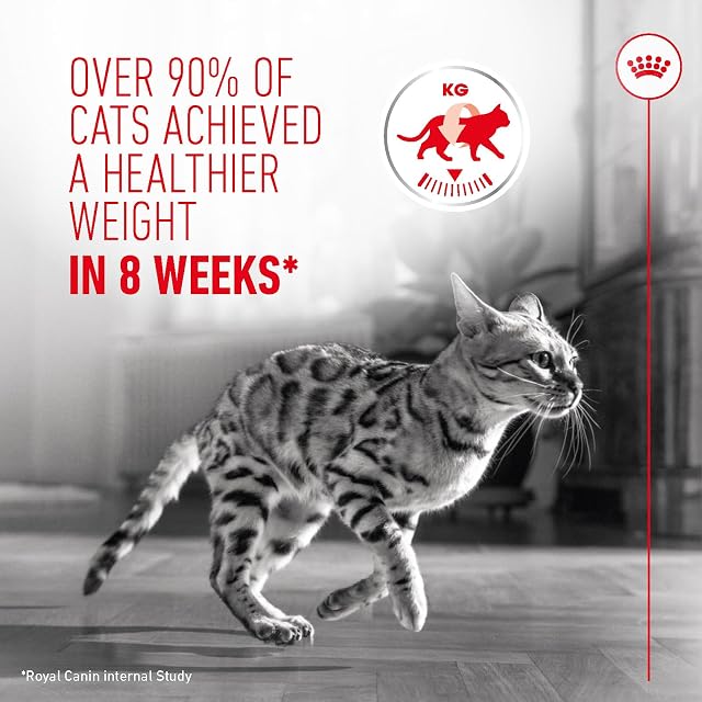 Foto 3 de 8 de Royal Canin Feline Ultra Light 10 (12 x 85 gr)