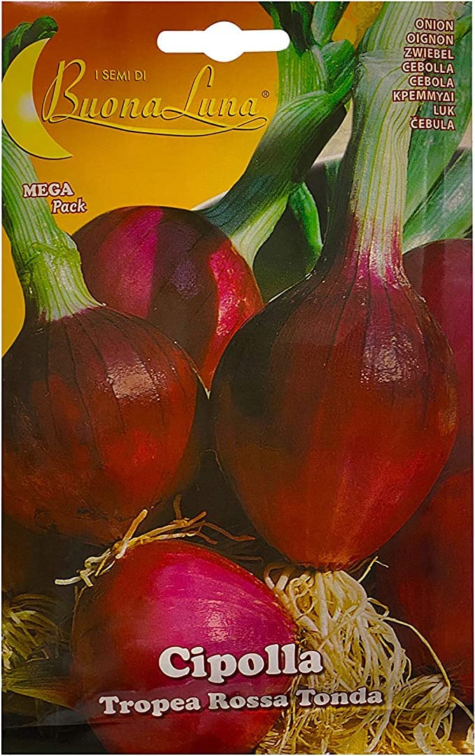 CIPOLLA TROPEA ROSSA TONDA(ONION)