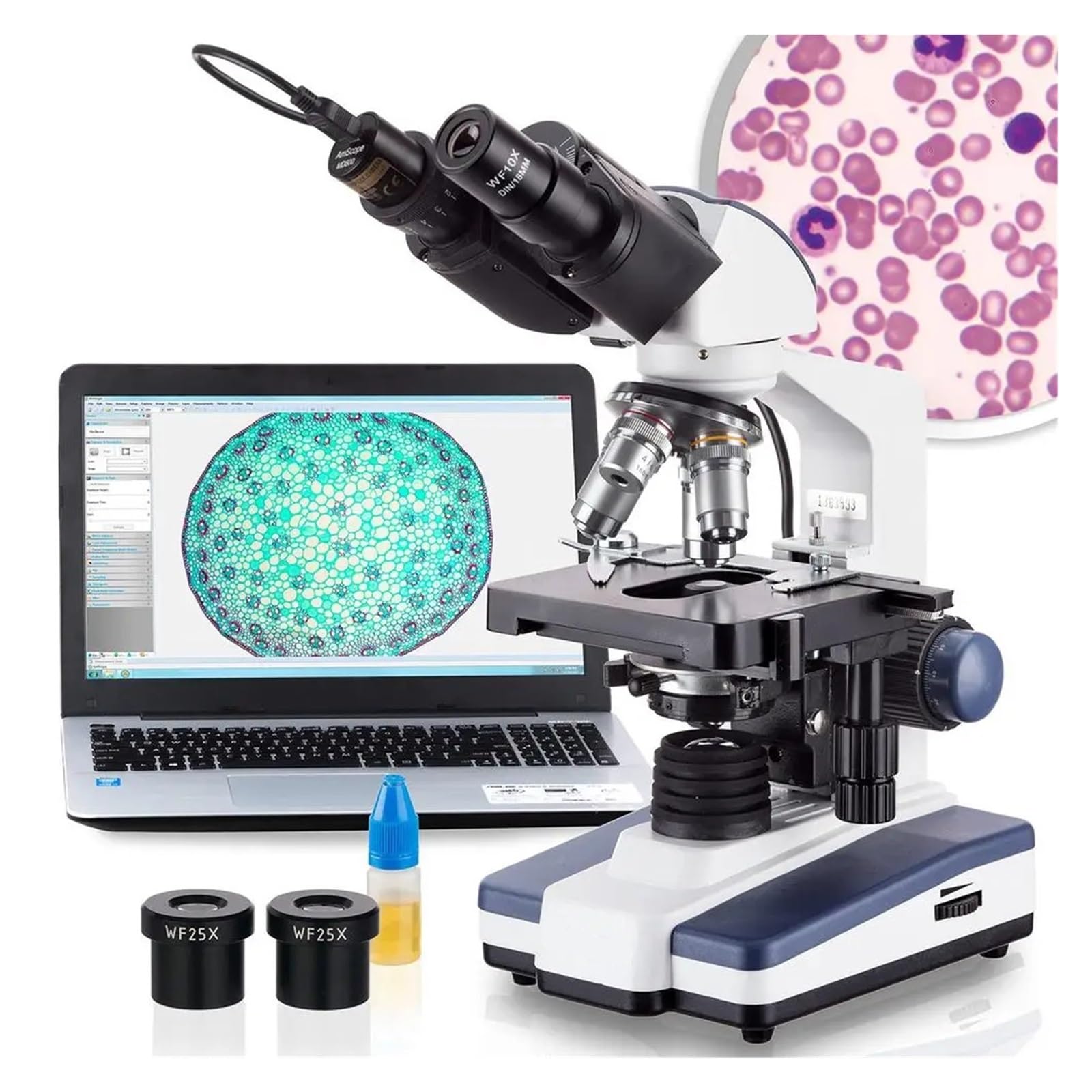 Microscopio Composto binoculare a LED con ingrandimento 40X-2500X, Fotocamera USB da 0,3 MP, Scelta Economica per Studenti e Professionisti in Laboratorio