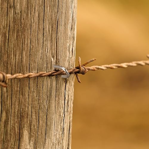 Miniatura 6 de Therwen Grapas de alambre para valla de acero, clavos en forma de U de 1 pulgada, resistentes a la corrosión y al óxido, clavos de cierre