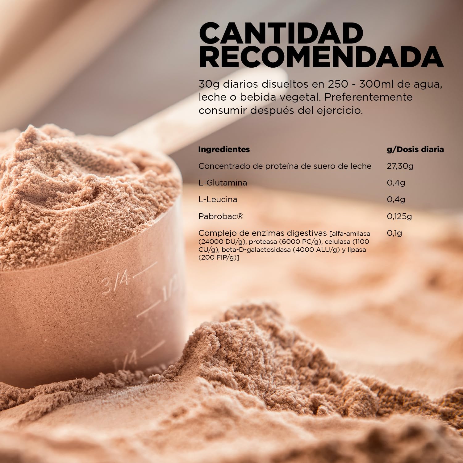 SPORT LIVE Concentrado de proteinas de suero de leche | Whey Protein en polvo con L-Glutamina y L-Leucina | Ayuda a aumentar tu masa muscular | Mejora tus batidos |Doble Chocolate | 2 KG