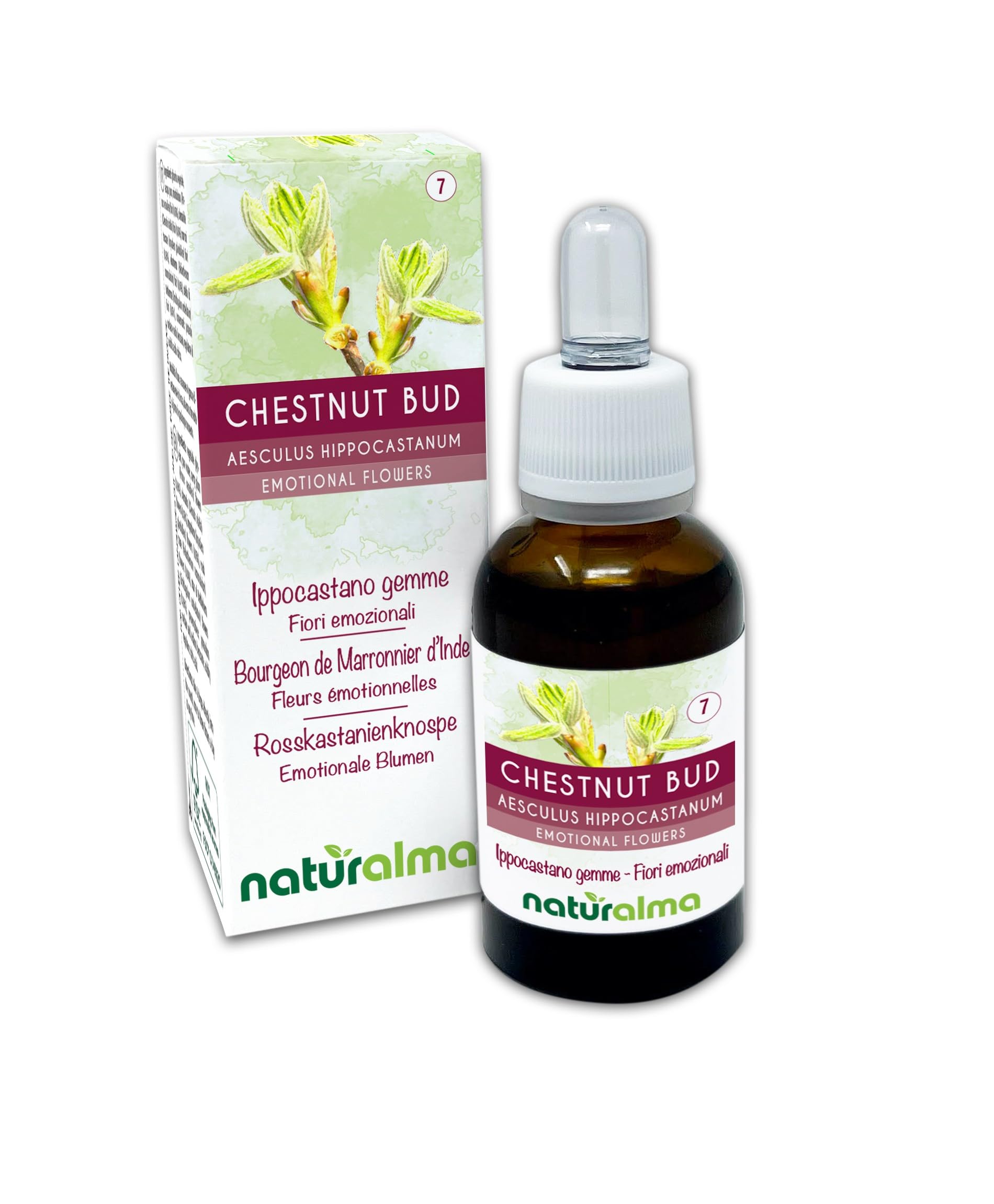 Chestnut bud o Castaño de Indias brotes (Aesculus hippocastanum) Flores emocionales o Flores de Bach Naturalma - Gotas 30 ml - Extracto líquido sin alcohol - Esencias florales - Vegano
