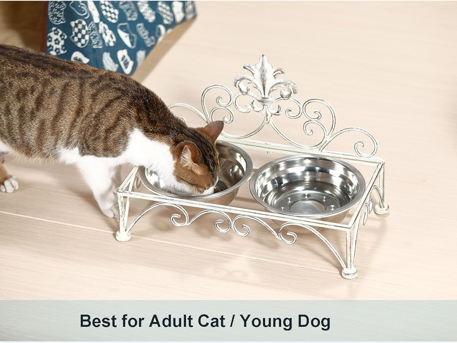 Iron Dog Cat Bowls Elevated - Dog or Cat Food and Water Dish Bowl Set - Raised Small Dog Cat Bowl Stand - Antique White