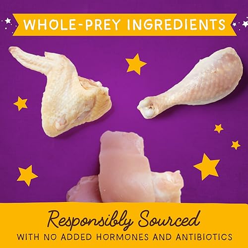 Miniatura 5 de Stella & Chewy's Polvo mágico liofilizado de Marie's Raw Marie's - Sin granos, rico en proteínas para gatos y gatitos - Receta de pollo sin jaula -