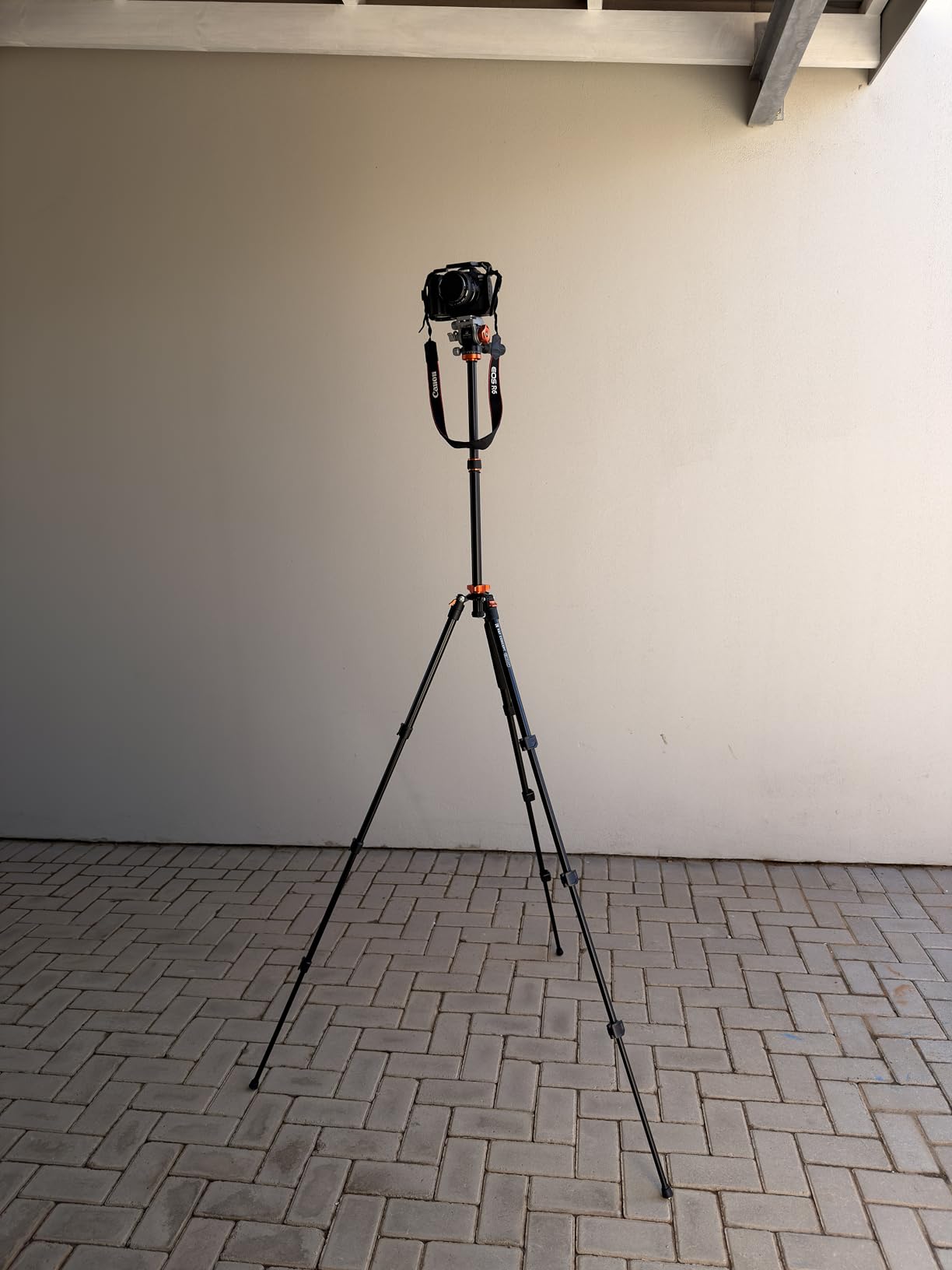 An affordable tripod that packs loads of pleasant surprises!
