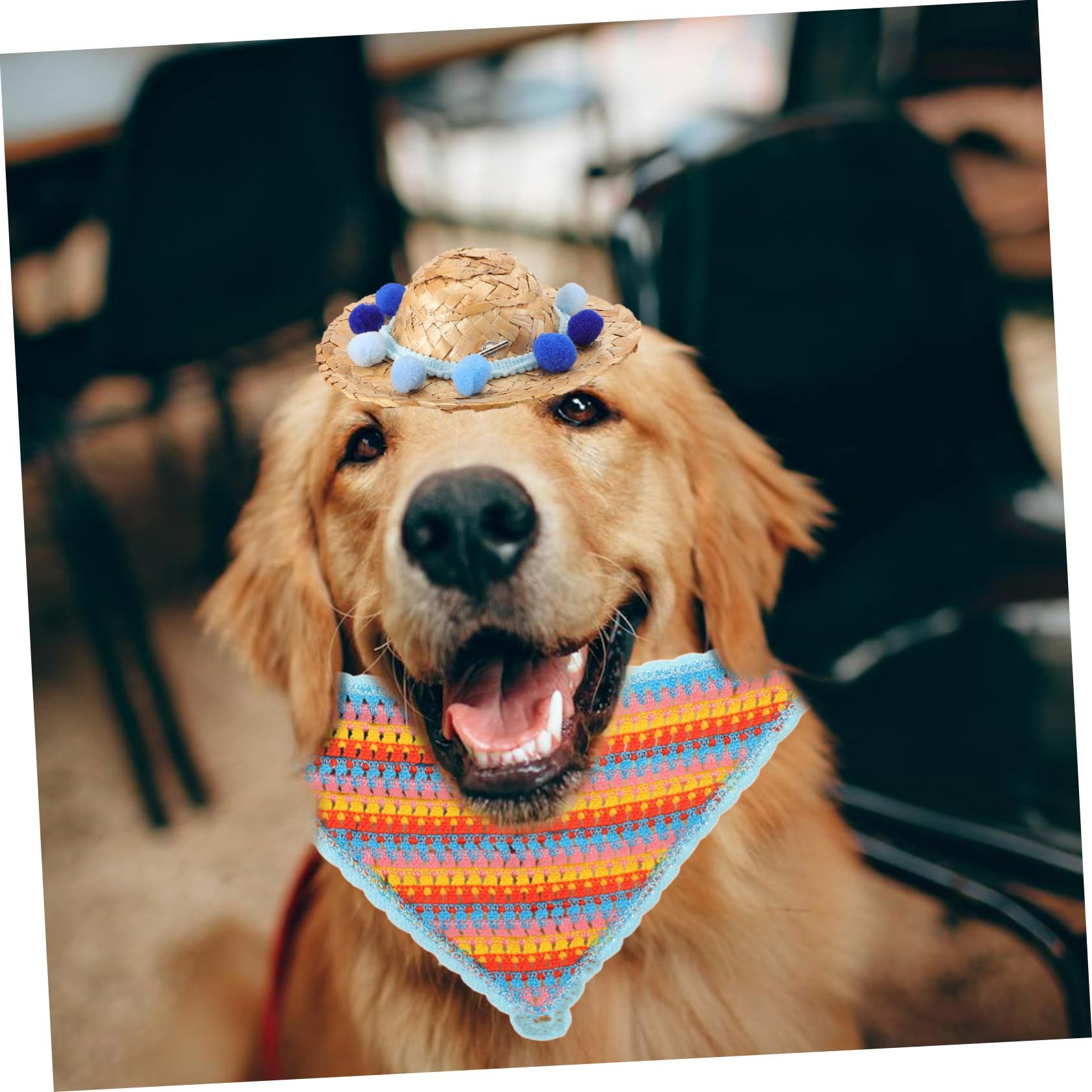 Toyvian 1ensemble Chapeau pour Chien avec Bandana De Costume pour Animaux De Compagnie Accessoire Photographique pour Sorties Et avec Pompon